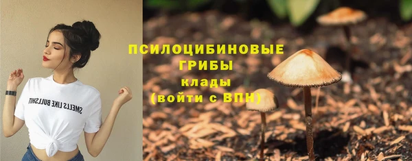 мдпв Бугульма