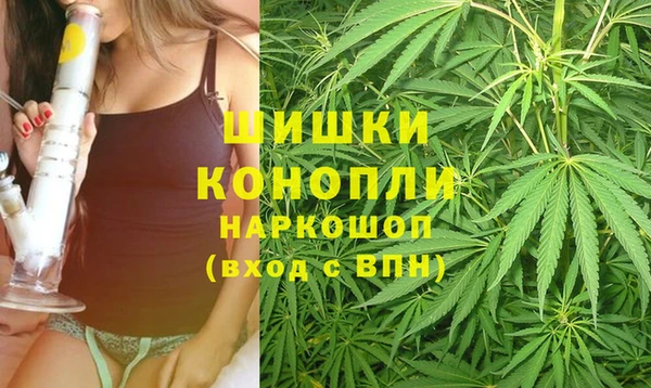 ПСИЛОЦИБИНОВЫЕ ГРИБЫ Волосово