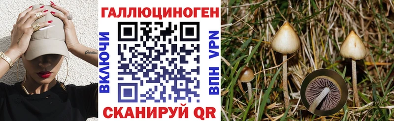 Галлюциногенные грибы мицелий магазин наркотиков Дрезна